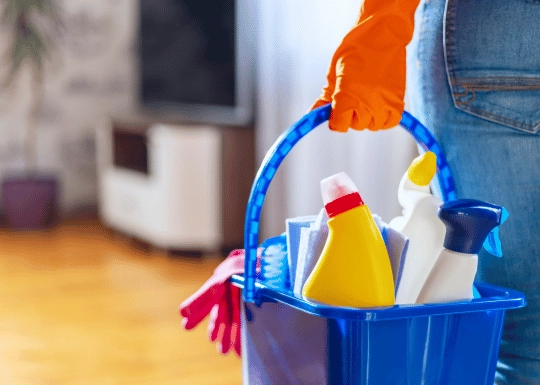 Professional cleaning services
