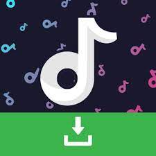 TikTok Video 